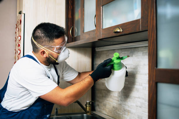 Best Local Pest Control Services  in Hubbard, TX