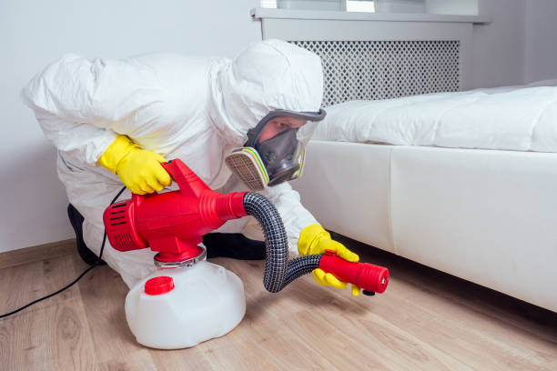 Best Emergency Pest Control  in Hubbard, TX