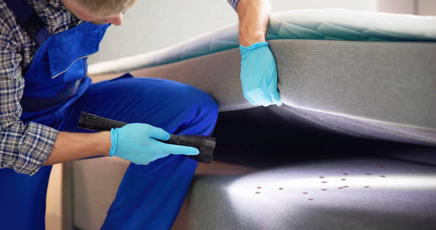 Best Exterminator Services  in Hubbard, TX