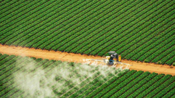 Best Pest Inspection Near Me  in Hubbard, TX