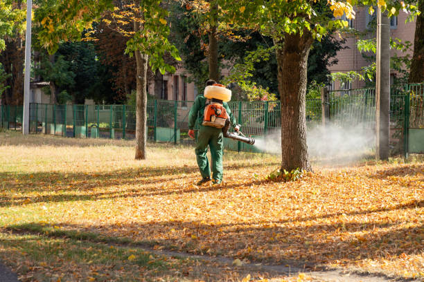 Best Commercial Pest Control Services  in Hubbard, TX