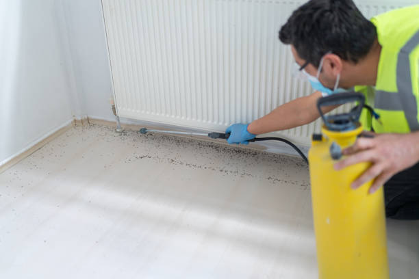 Best Cockroach Control Services  in Hubbard, TX