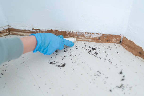 Best Commercial Pest Control Services  in Hubbard, TX